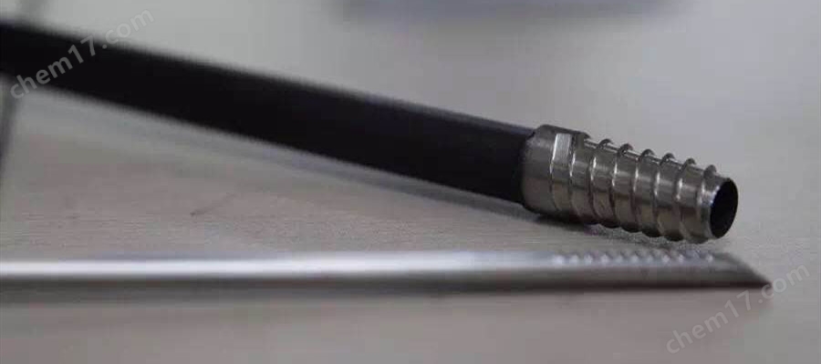 树木生长锥