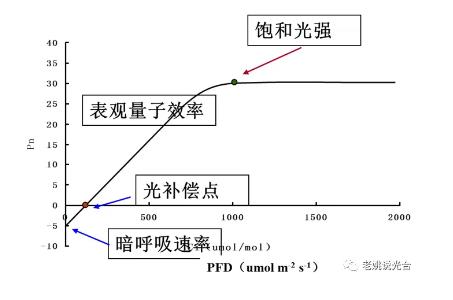 光响应曲线.jpg