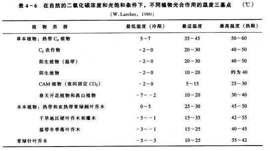 光照温度图.jpg